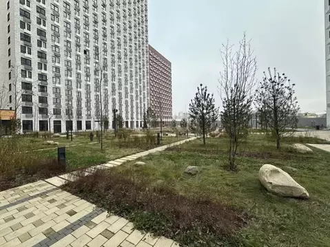 Студия Москва Кольская ул., 8к1 (20.0 м)