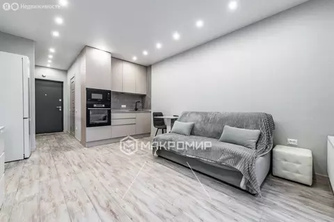 Квартира-студия: посёлок Шушары, Новгородский проспект, 2к3 (24.5 м)