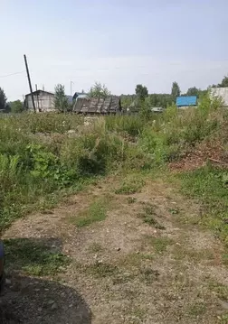 Участок в Челябинская область, Чебаркульский район, Непряхинское ...