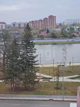 3-к кв. Пензенская область, Пенза ул. Урицкого, 48 (106.0 м)