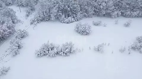 Участок в Камчатский край, Елизовский муниципальный округ, Рыбак СНТ  ...