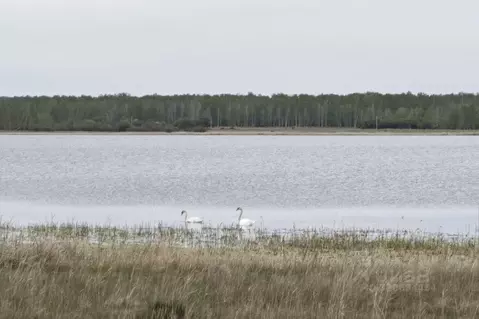 Участок в Челябинская область, Еткульский муниципальный округ, с. ...