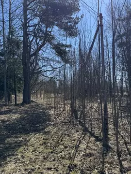 Участок в Ленинградская область, Выборгский район, Рощинское городское ...