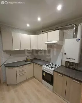 1-комнатная квартира: Калуга, улица Георгия Амелина, 9 (30 м)