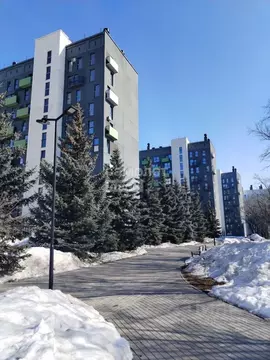 Студия Челябинская область, Челябинск Нефтебазовая ул., 1-13 (23.83 м)