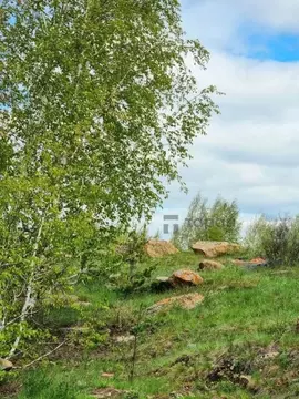 Участок в Челябинская область, Чебаркульский муниципальный округ, д. ...