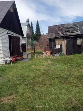 Участок в Алтайский край, Калманский район, Прудское СНТ  (6.0 сот.)