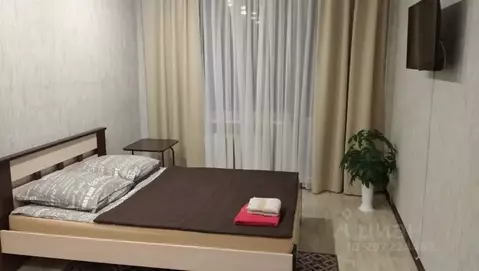 1-к кв. Ленинградская область, Сланцы Спортивная ул., 19 (33.0 м)