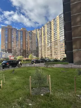 1-к кв. Санкт-Петербург Лыжный пер., 8к1 (42.5 м)