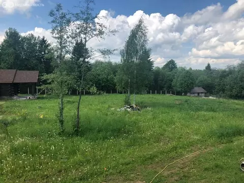 Участок в Московская область, Раменский муниципальный округ, СНТ ...