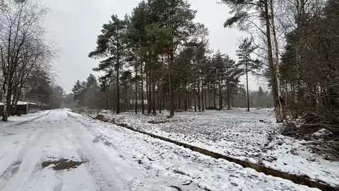 Участок в Ленинградская область, Шлиссельбург Кировский район, Зеленый ...