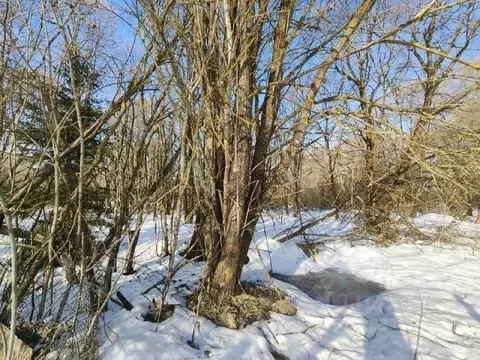 Участок в Московская область, Талдомский городской округ, д. Фоминское ...