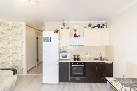 Студия Тюменская область, Тюмень ул. Червишевский Тракт, 45к8 (24.4 м)