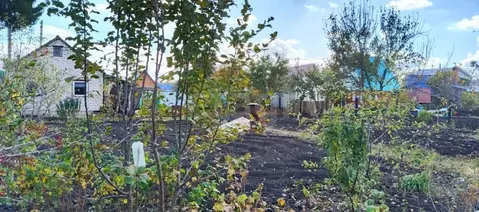 Участок в Башкортостан, Стерлитамакский район, Наумовский сельсовет, ...