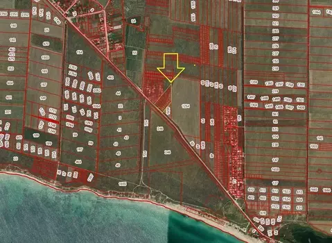 Участок в Крым, Черноморский район, Окуневское с/пос, Беляус СНТ ул. ...