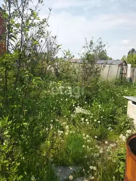 Дом в Тюменская область, Тюмень Нефтяник СНТ, ул. Дружбы (33 м)