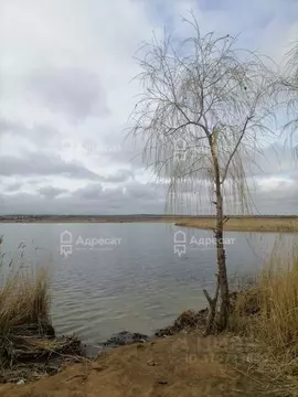 Участок в Волгоградская область, Волгоград ул. Белая (6.75 сот.)