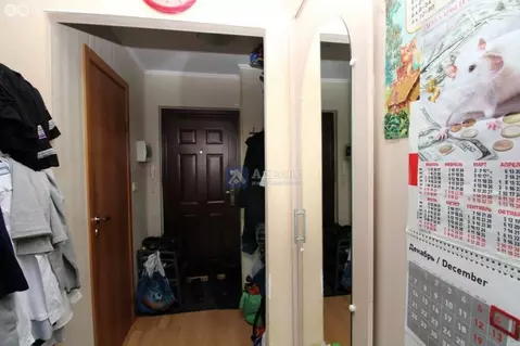 Квартира-студия: Тюмень, Олимпийская улица, 24 (17 м)