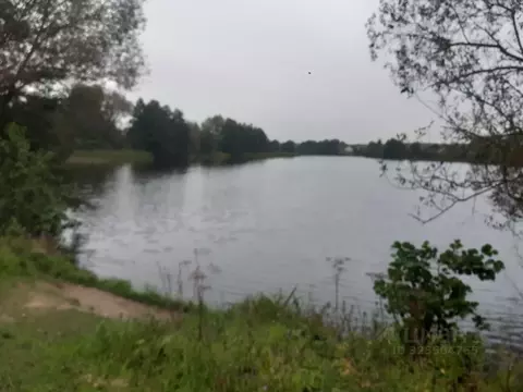 Участок в Московская область, Ступино городской округ, Калинушка СНТ ...