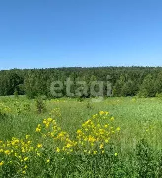 Участок в Пермский край, Пермский муниципальный округ, д. Пашня  ...