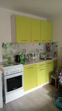 Студия Тюменская область, Тюмень ул. Мельникайте, 113 (17.1 м)