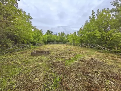 Участок в Омская область, Омск Садовод СНТ, 528 (5.55 сот.)