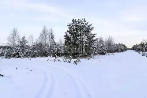 Участок в Тюменская область, Нижнетавдинский муниципальный округ, д. ...