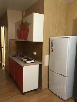 Студия Московская область, Раменский муниципальный округ, д. Дергаево ...