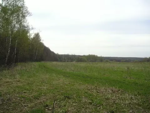 Участок в Калужская область, Малоярославецкий район, Захарово с/пос, ...