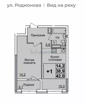 1-комнатная квартира: Нижний Новгород, улица Родионова, 31 (42 м)