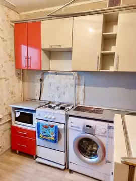 1-к кв. Алтайский край, Рубцовск Алтайская ул., 181 (30.6 м)