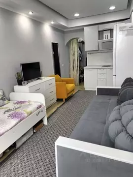 Студия Краснодарский край, Анапа ул. Кати Соловьяновой, 286 (21.8 м)