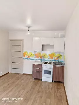 Студия Пермский край, Пермь Буксирная ул., 10 (19.9 м)