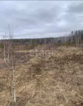 Участок в Свердловская область, Сысертский муниципальный округ, Протон ...