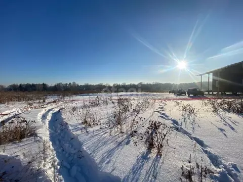 Участок в Красноярский край, Красноярск городской округ, пос. Элита ...