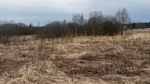 Участок в Московская область, Истра муниципальный округ, д. Чаново  ...