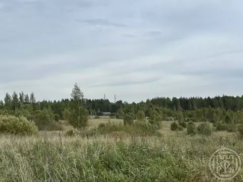 Участок в Ленинградская область, Ломоносовский район, Низинское с/пос, ...