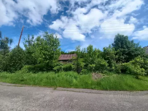 Участок в Алтайский край, Красногорский район, пос. Долина Свободы ул. ...