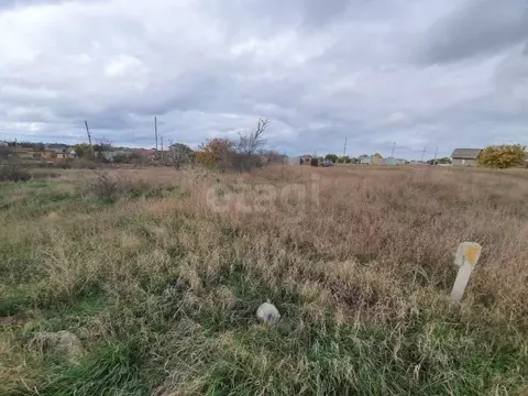 Участок в Крым, Черноморский район, с. Новосельское, Таврия СНТ 576А ...