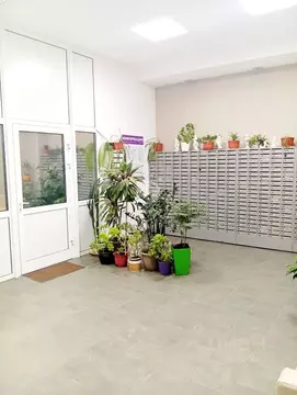 2-к кв. Московская область, Солнечногорск городской округ, Голубое пгт ...