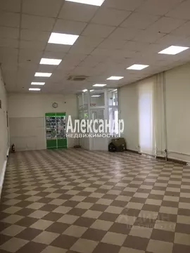 Помещение свободного назначения в Санкт-Петербург пос. Песочный, ...