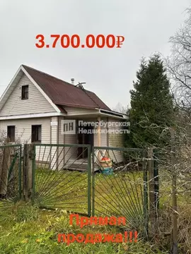Дом в Ленинградская область, Лужский район, Мшинское с/пос, д. ...
