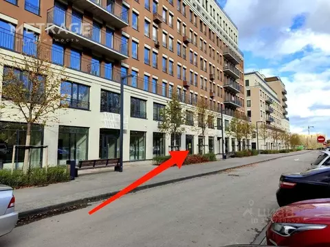 Помещение свободного назначения в Новосибирская область, Новосибирский ...