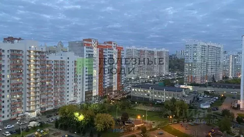 Студия Красноярский край, Красноярск ул. Вильского, 36 (24.0 м)