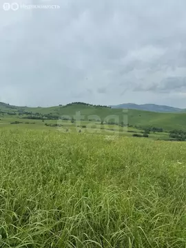 Участок в Алтайский район, ДНТ Жемчужина Алтая (8.75 м)