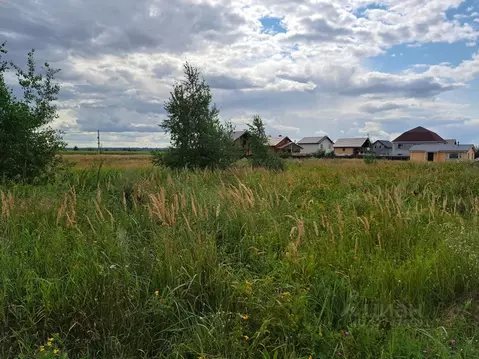 Участок в Московская область, Раменское Московская ул. (5.0 сот.)