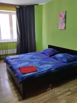 Студия Московская область, Котельники ул. Строителей, 5 (24.0 м)