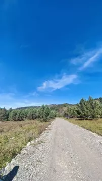 Участок в Алтай, Чемальский район, Элекмонарское с/пос, с. Элекмонар ...