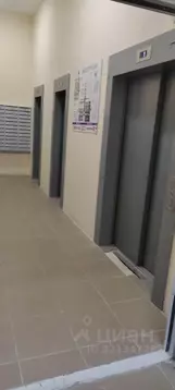 Студия Ленинградская область, Мурино Всеволожский район, ул. Шувалова, ...