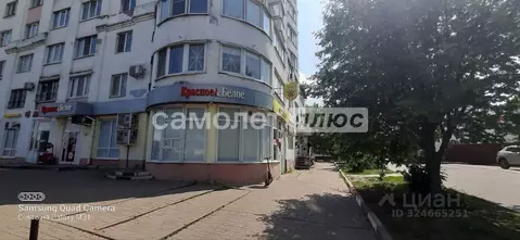 Торговая площадь в Белгородская область, Белгород ул. Челюскинцев, 55а ...